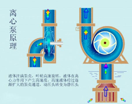 离心泵工作原理图