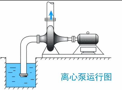离心泵运行图