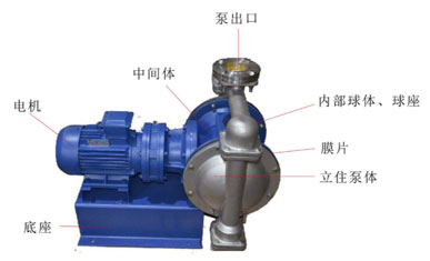 电动隔膜泵图片