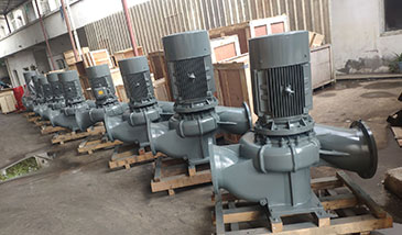 立式节能泵图片