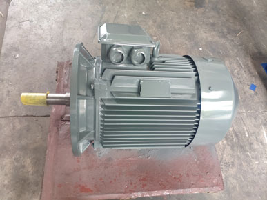 节能水泵电机图