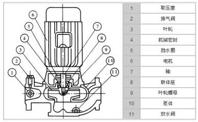 循环泵结构图