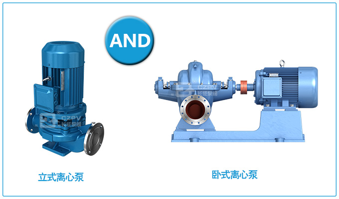 立式泵和卧式泵图片