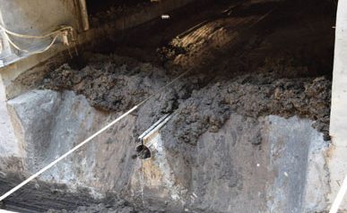 养猪场粪便池图片