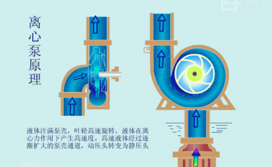离心泵工作原理动图
