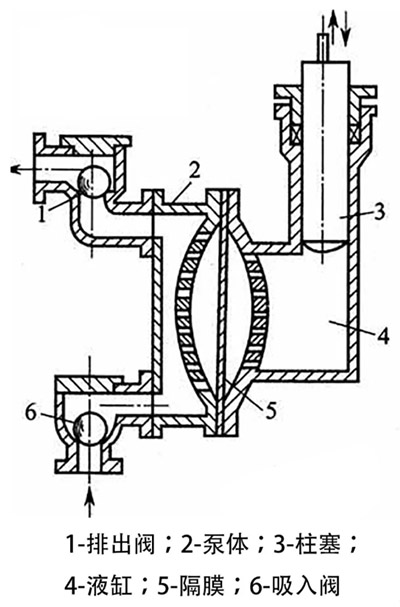隔膜泵结构图片