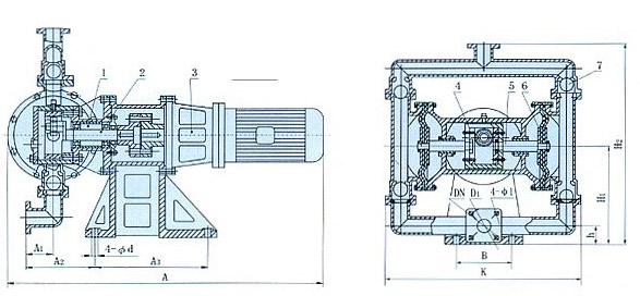 电动隔膜泵的结构图片