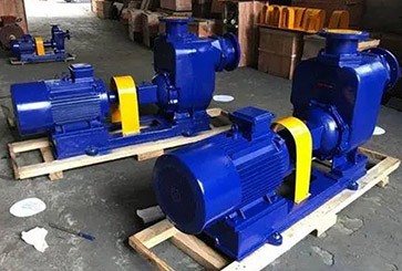 单级双吸离心泵图片