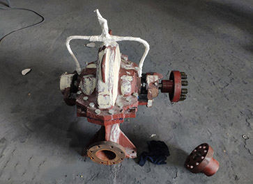 单级双吸离心泵图片