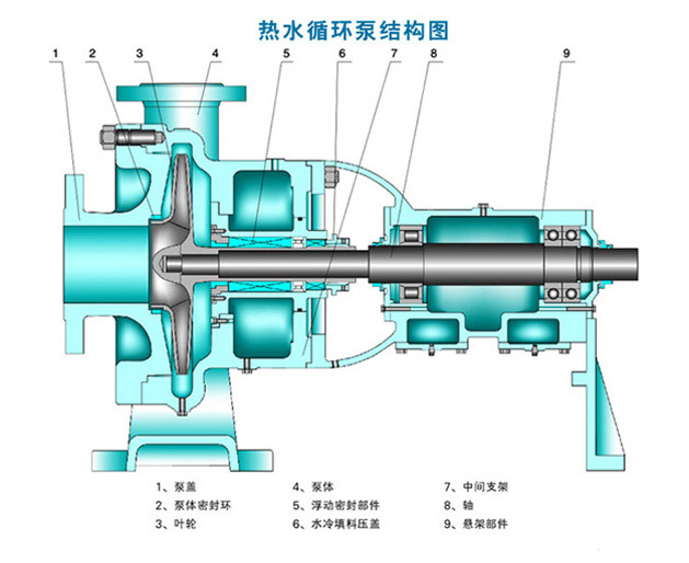 热水循环泵的结构图片