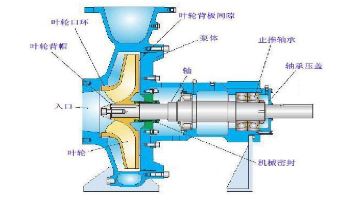离心泵的结构说明图片