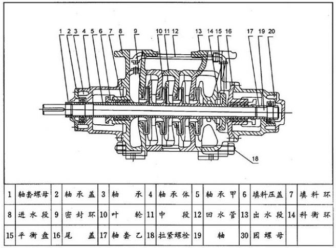 多级离心泵结构图片