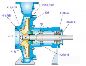 管道离心泵原理结构图