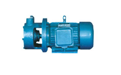 W型单级直连旋涡泵